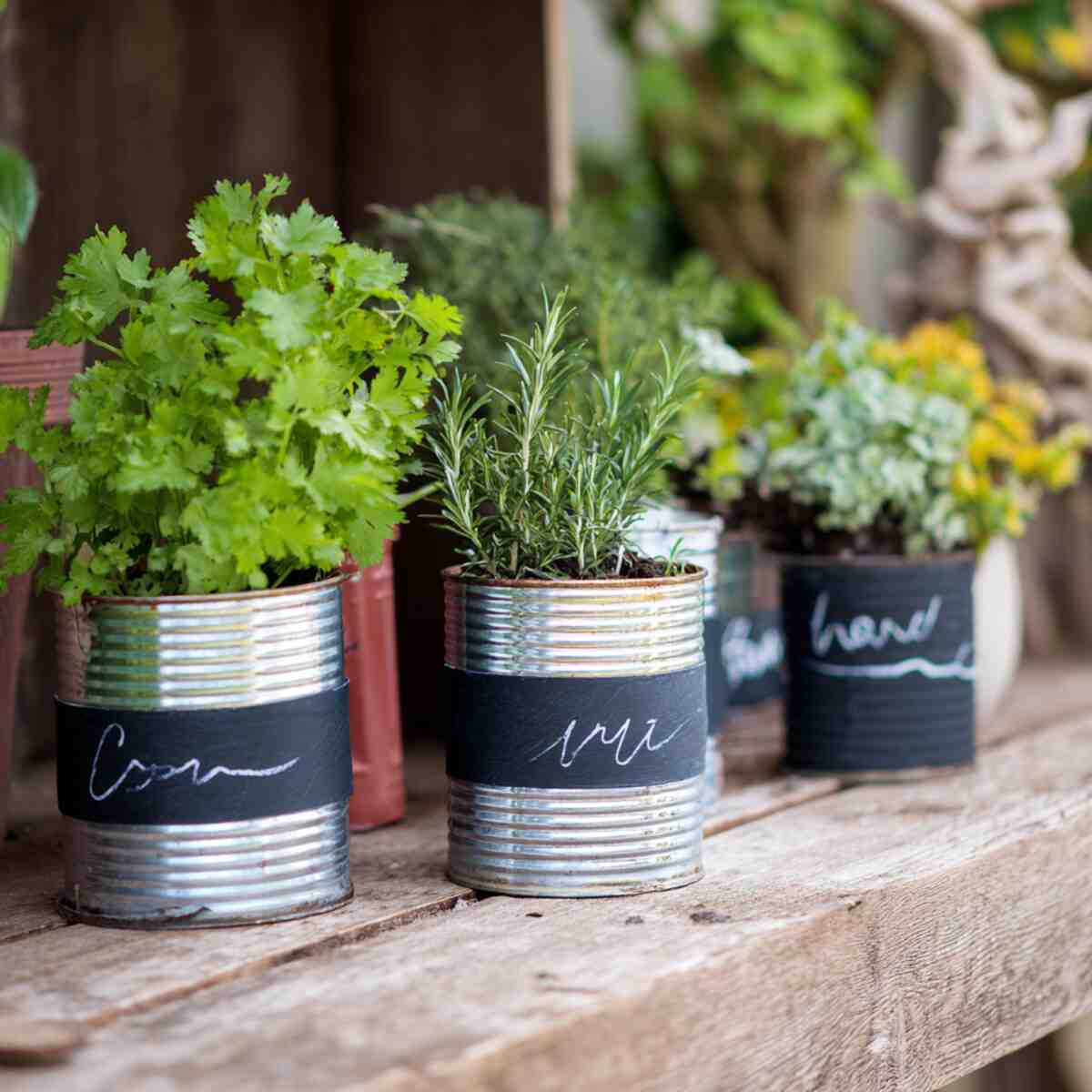 Tin Cans with Chalkboard Paint for Labeling
