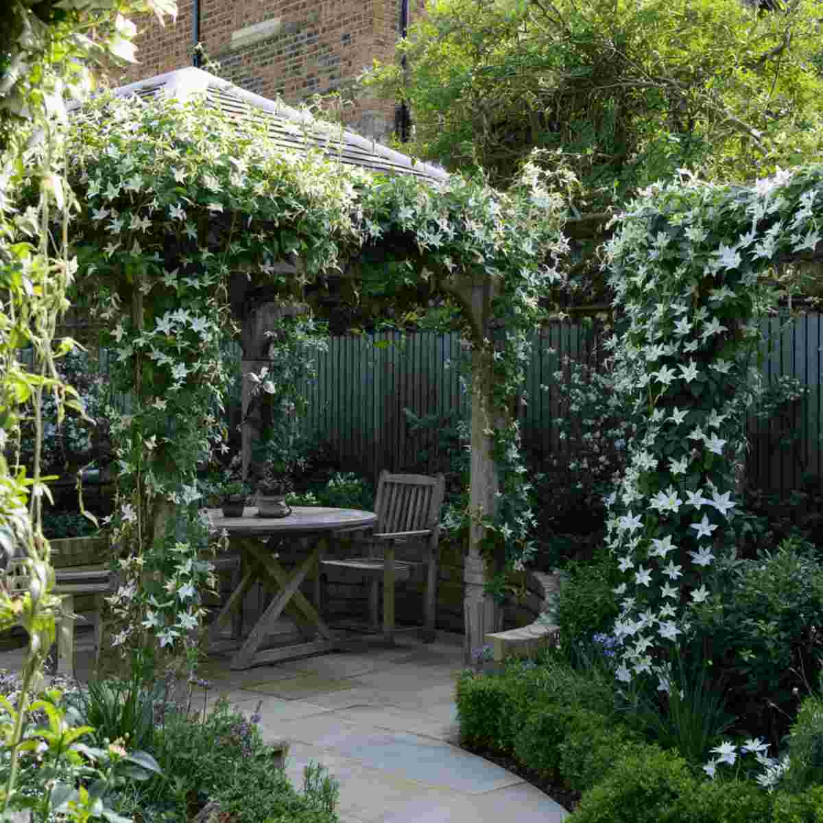 Corner Pergola with Clematis Vines