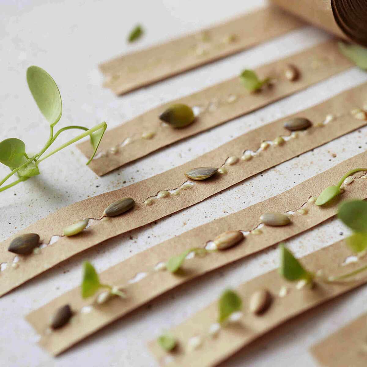 Brown Kraft Paper Seed Tape