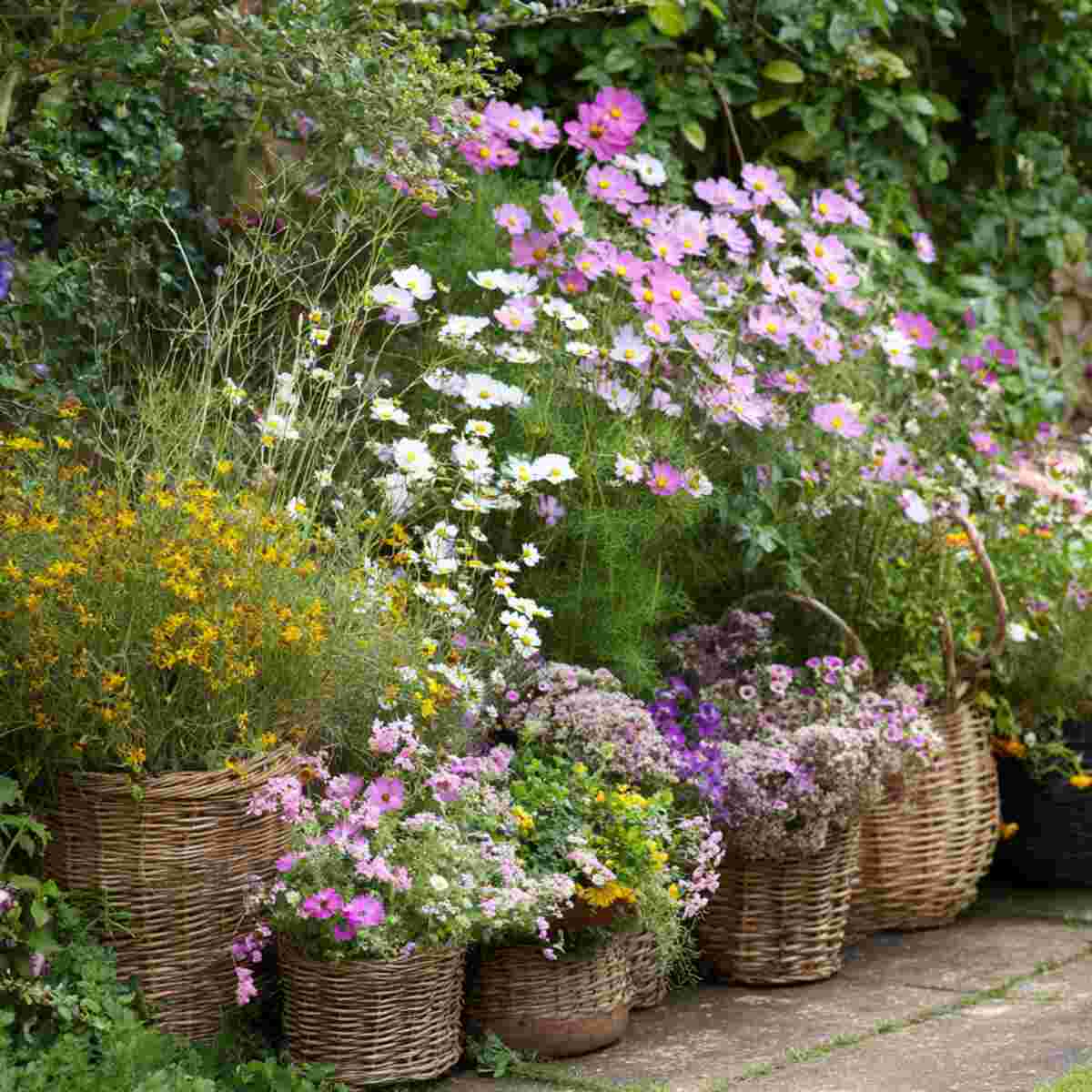 Mixed Wildflower Display