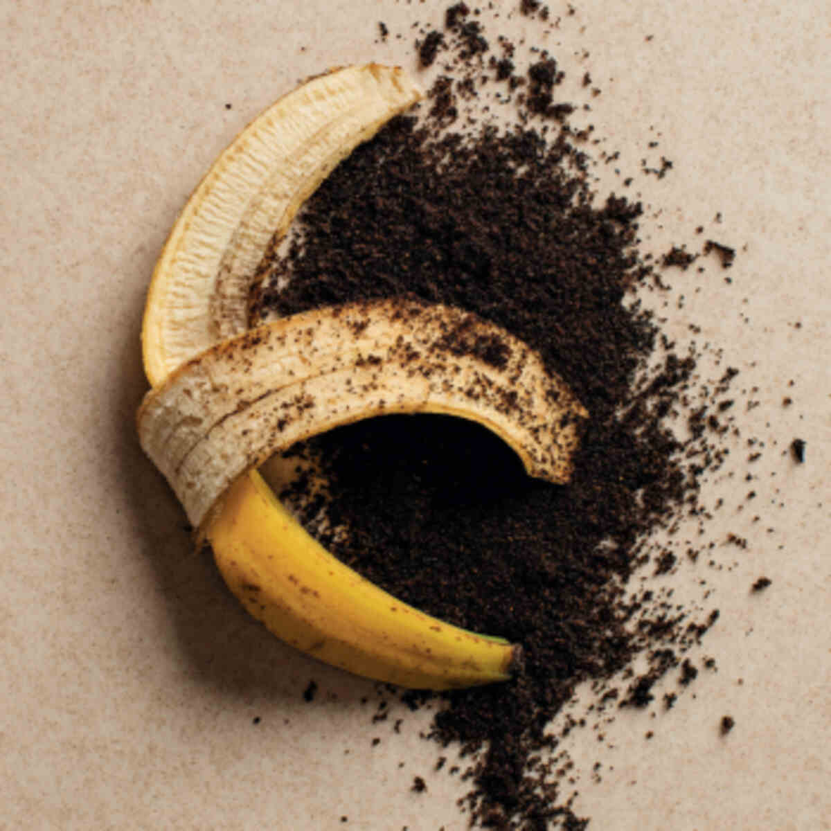 Banana peel and coffee grounds c