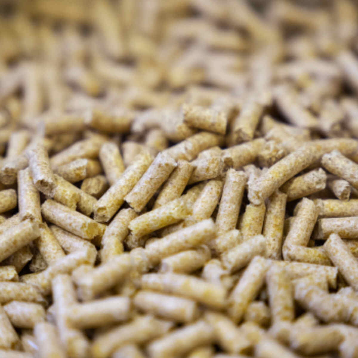 Banana peel slow-release pellets