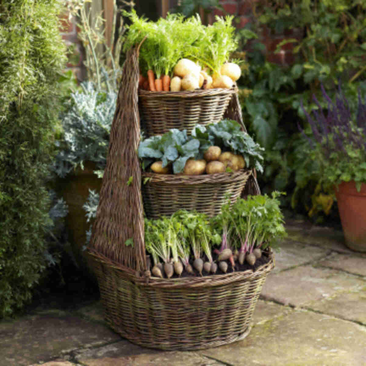 Basket tower for small planted r