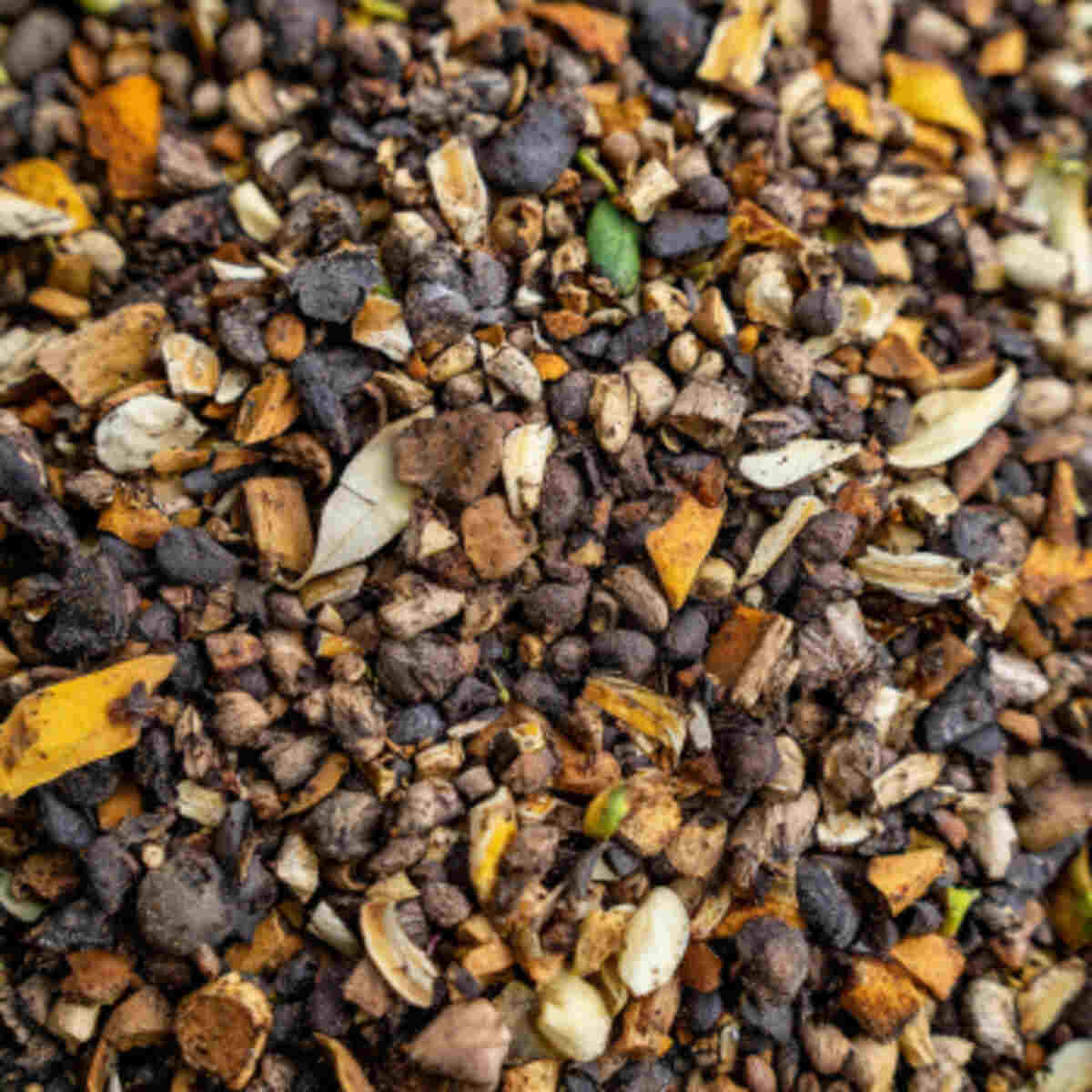 Blended banana peel plant feed