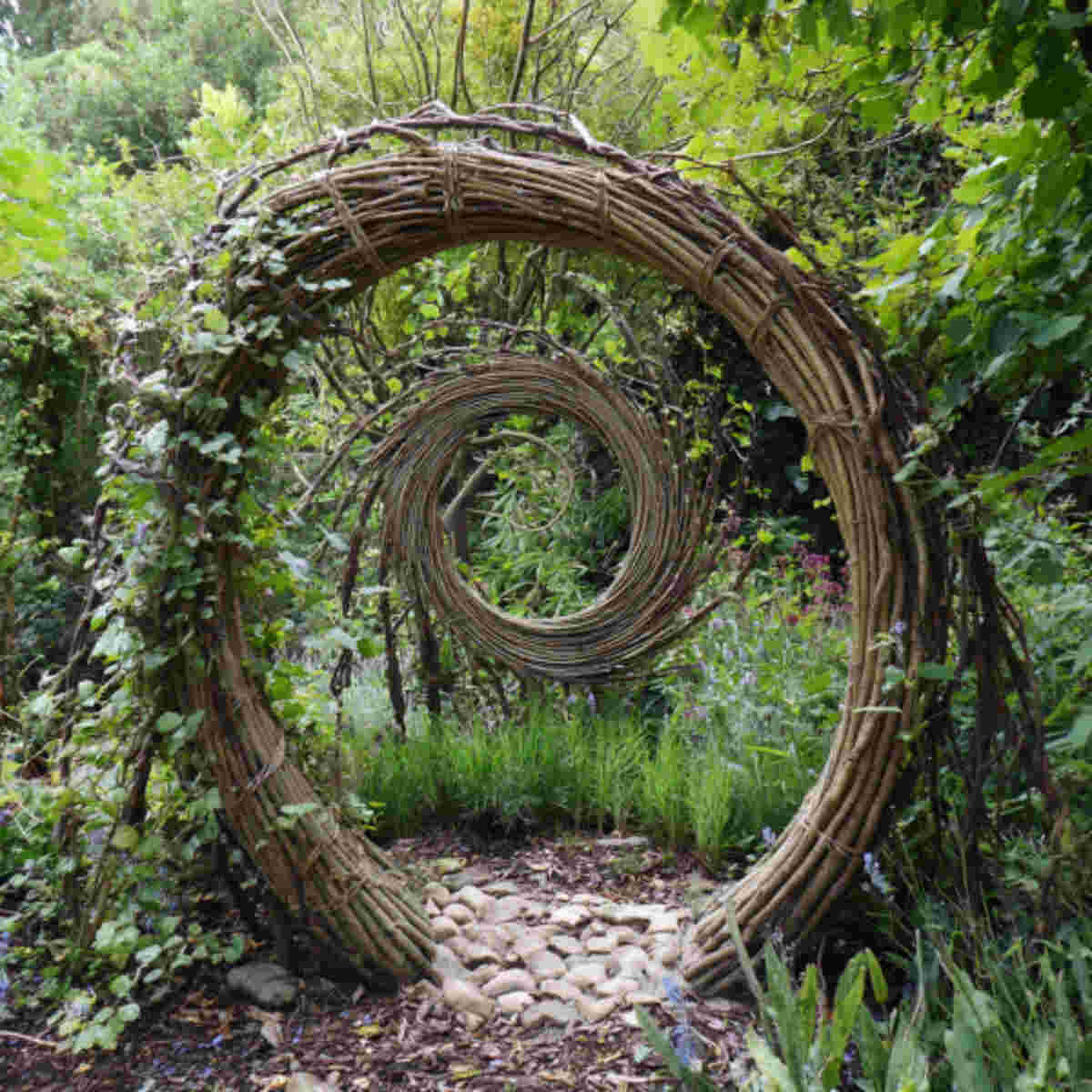 Branch spirals
