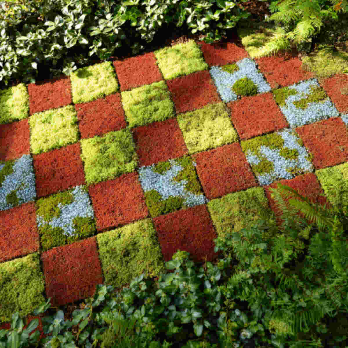 Checkerboard Pattern with Groundcovers