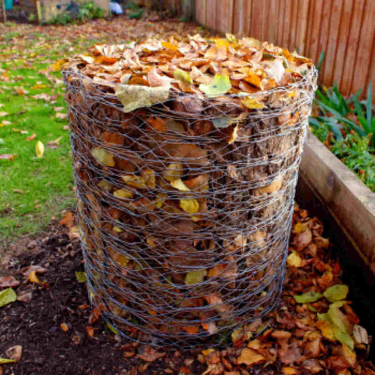 Chicken wire cylinder composter