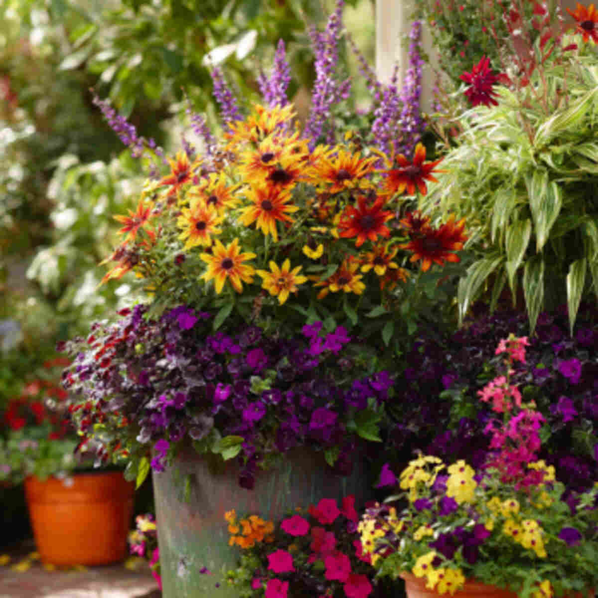Color-Transitioning Container Garden