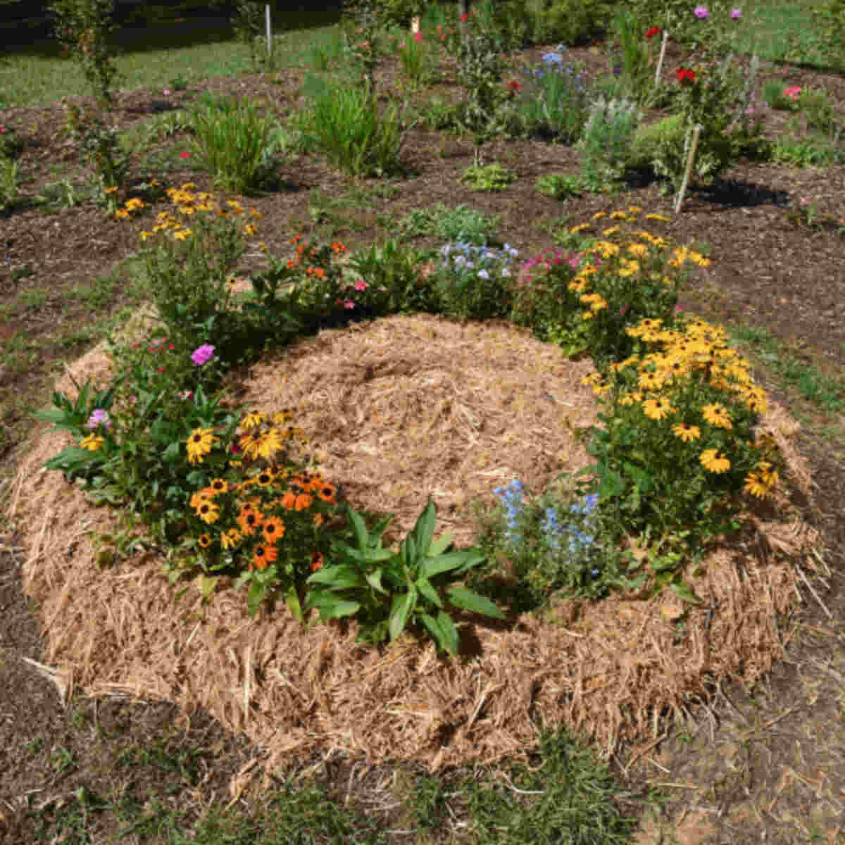 Compost-in-the-Center Pollinator