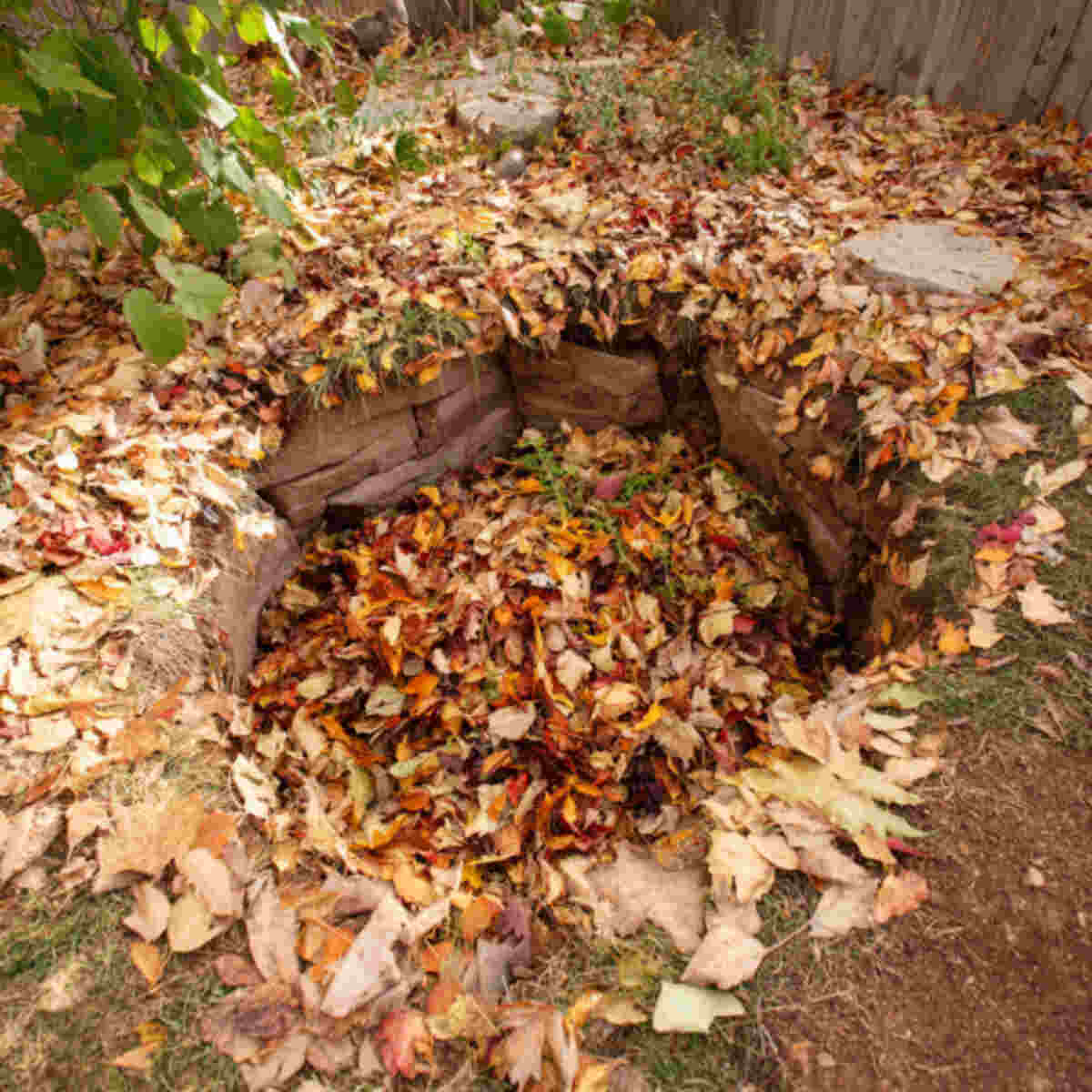 Composting leaves in a buried pi