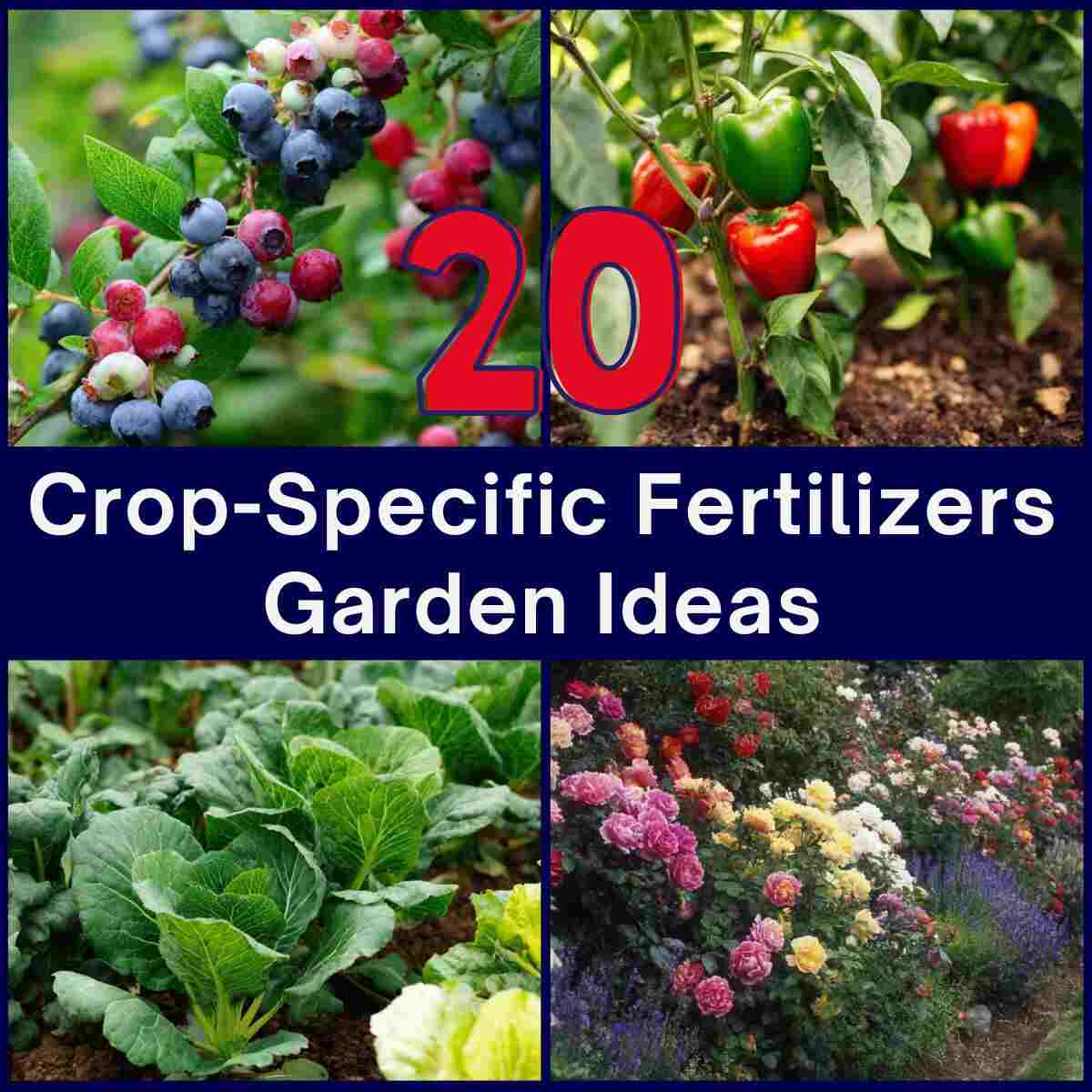 Crop-Specific Fertilizers Garden Ideas