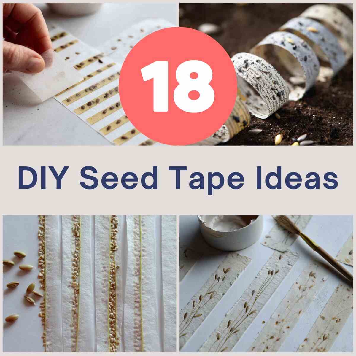 DIY Seed Tape Ideas