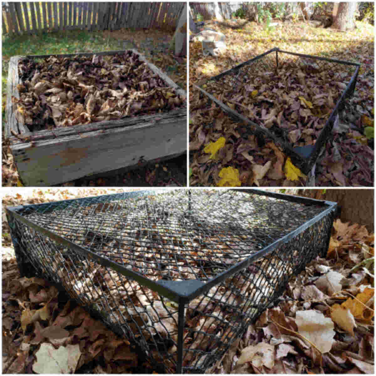 DIY leaf mold mesh cage