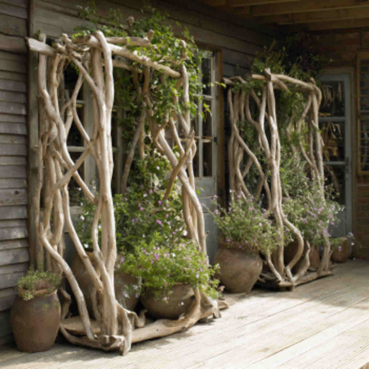 Driftwood frames
