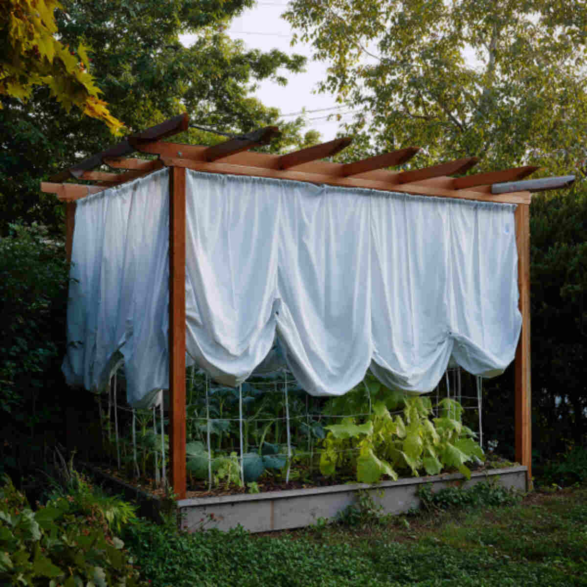Fabric-Draped Garden Frame