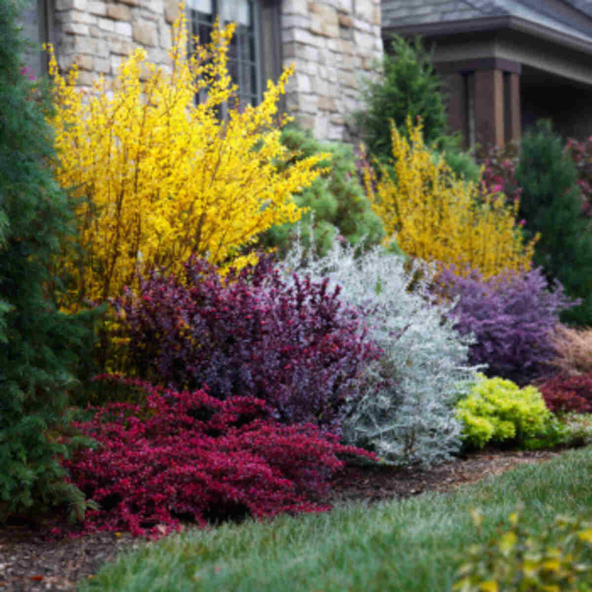 Four-Season Shrub Bed