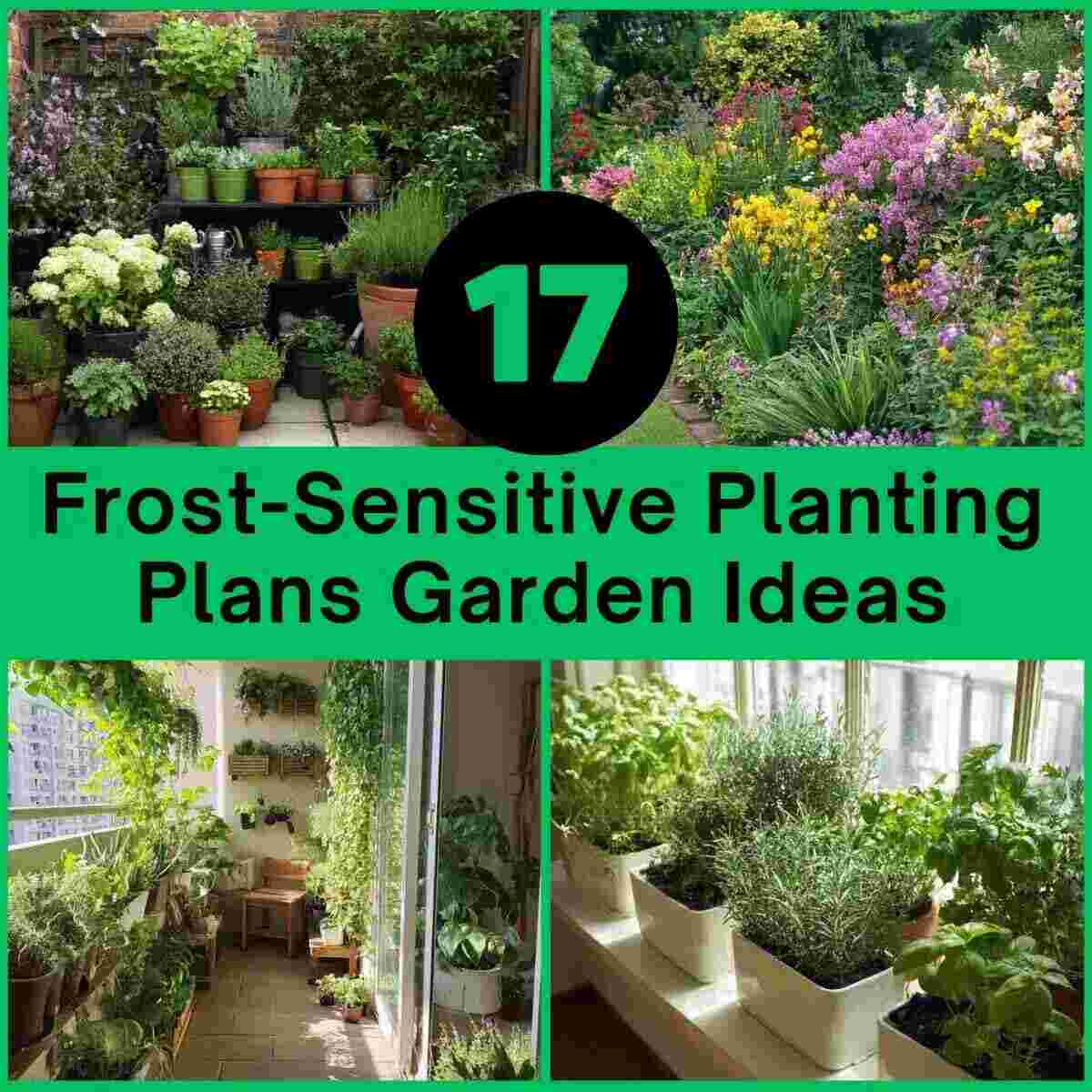 Frost-Sensitive Planting Plans Garden Ideas
