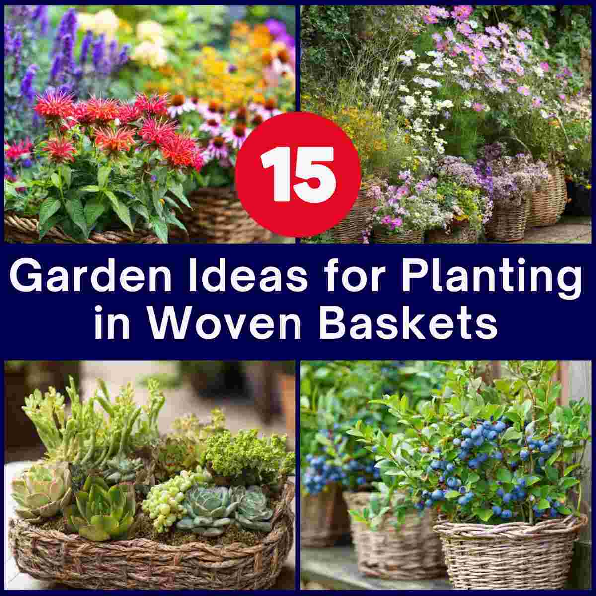  Garden Ideas for Planting in Woven Baskets