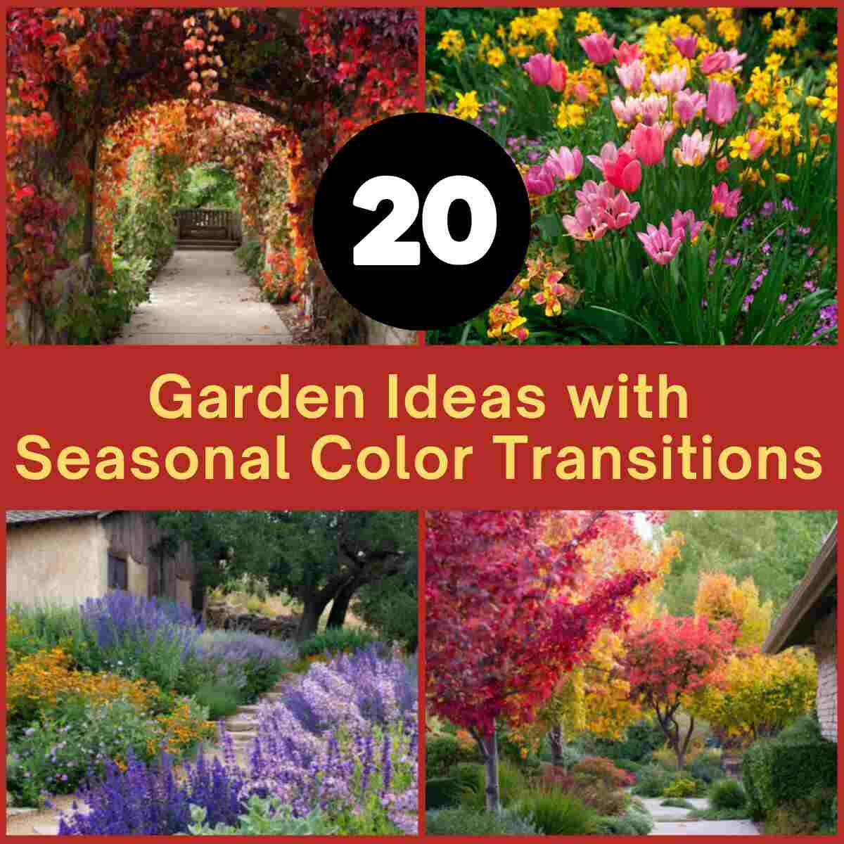 Garden Ideas with Seasonal Color Transitions
