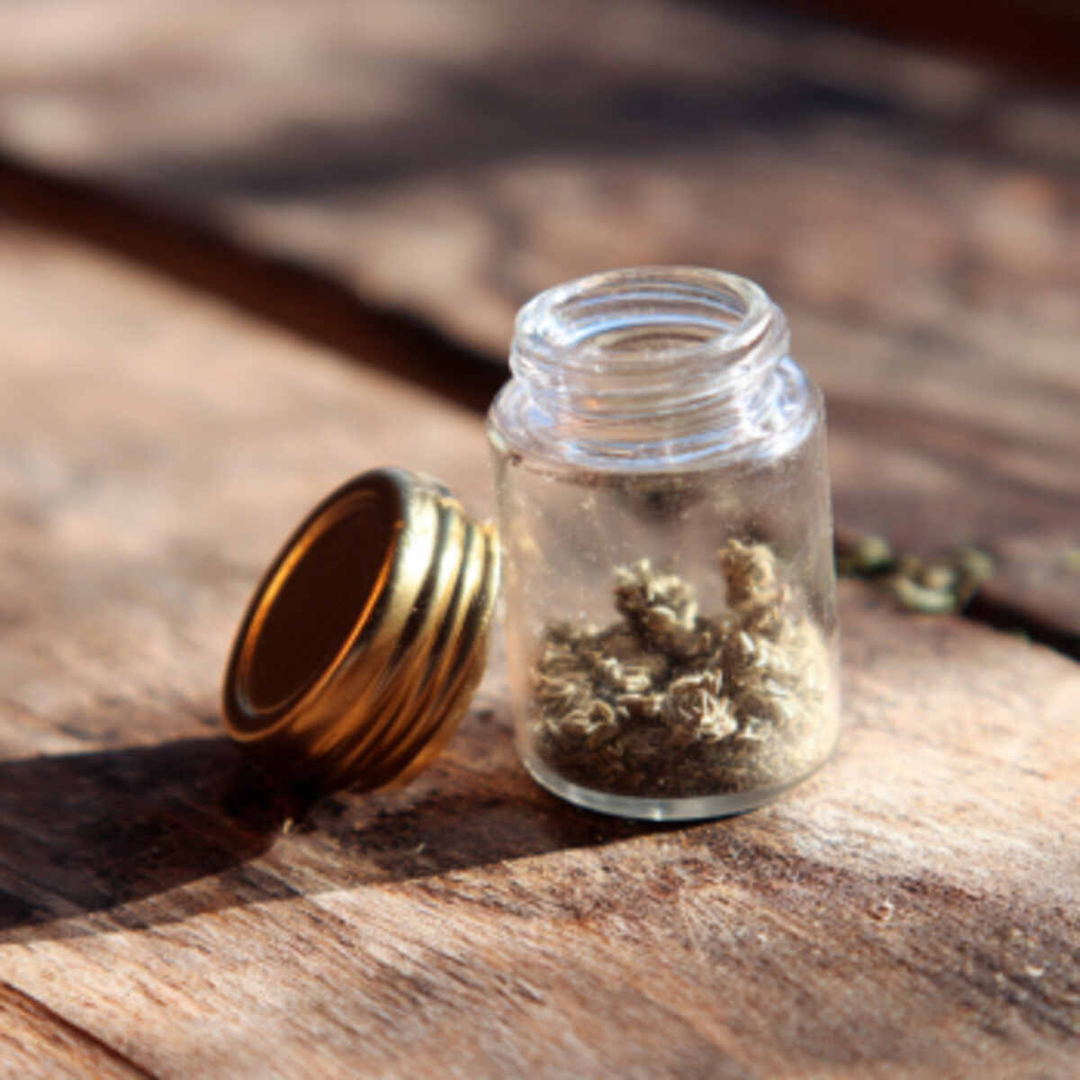 Glass Jar Mini Pollen Dome