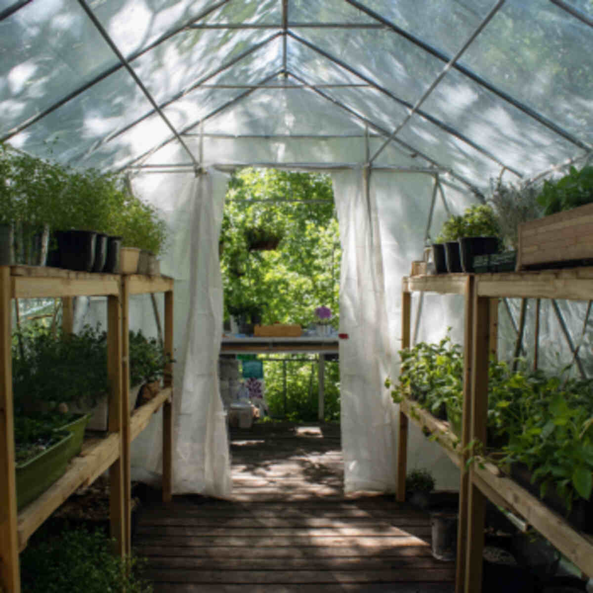 Greenhouse-Style Pollen Canopy