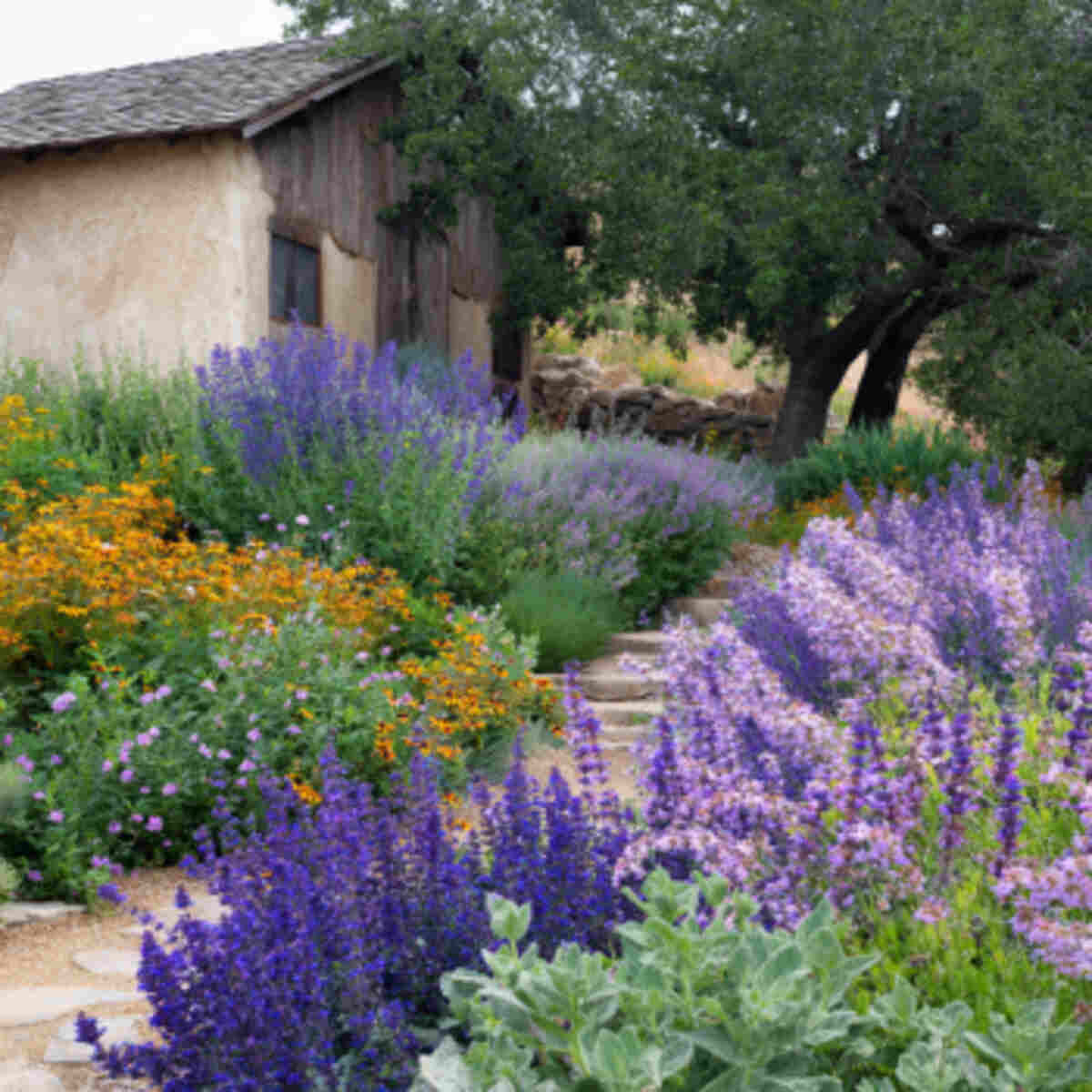 Herb Garden with Blooming Varieties