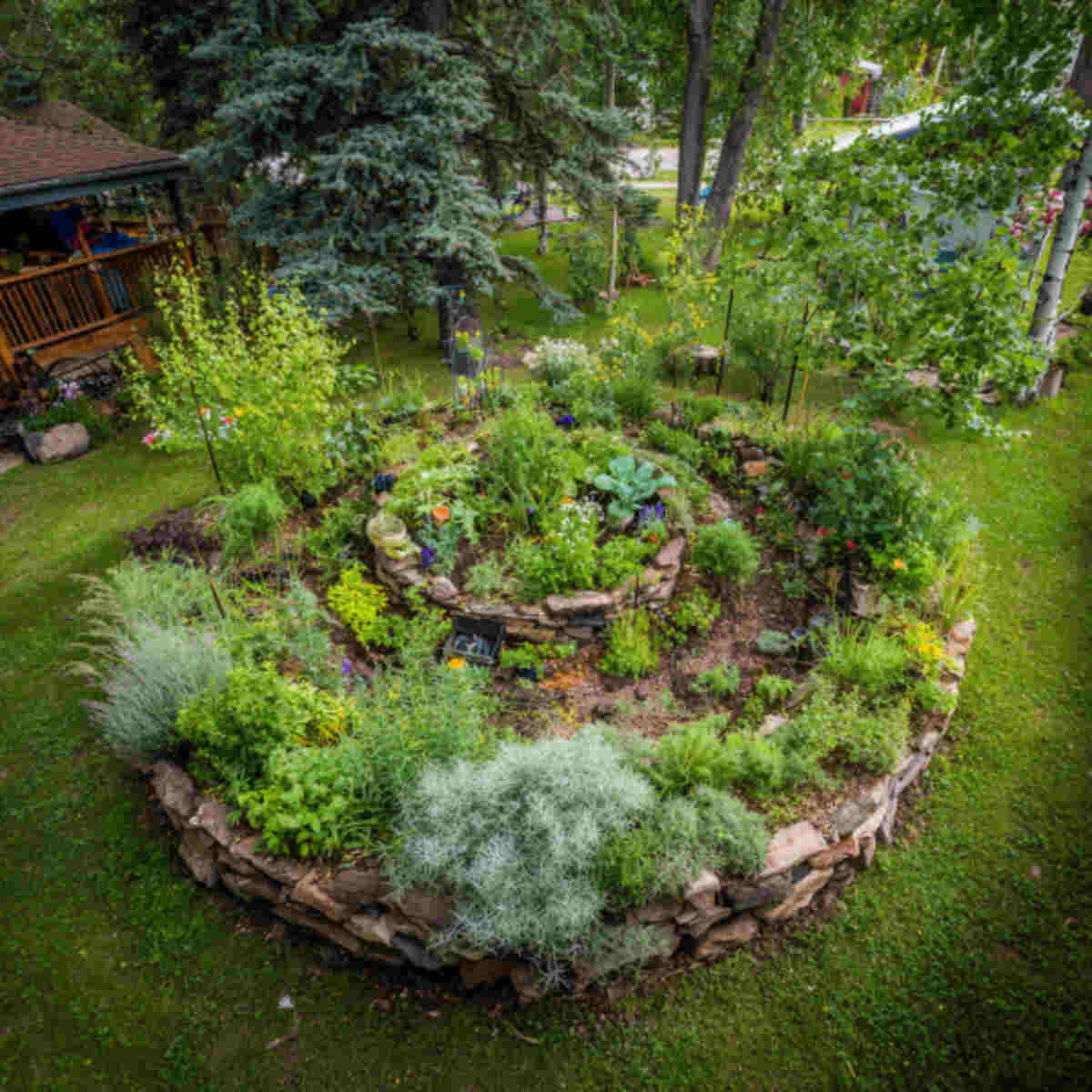 Herb Spiral Food Forest