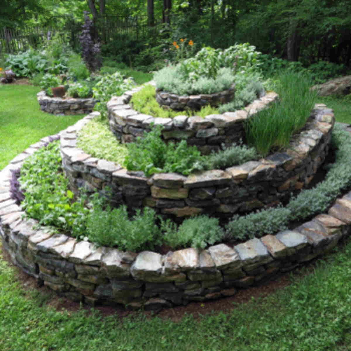Herb spiral with stone border