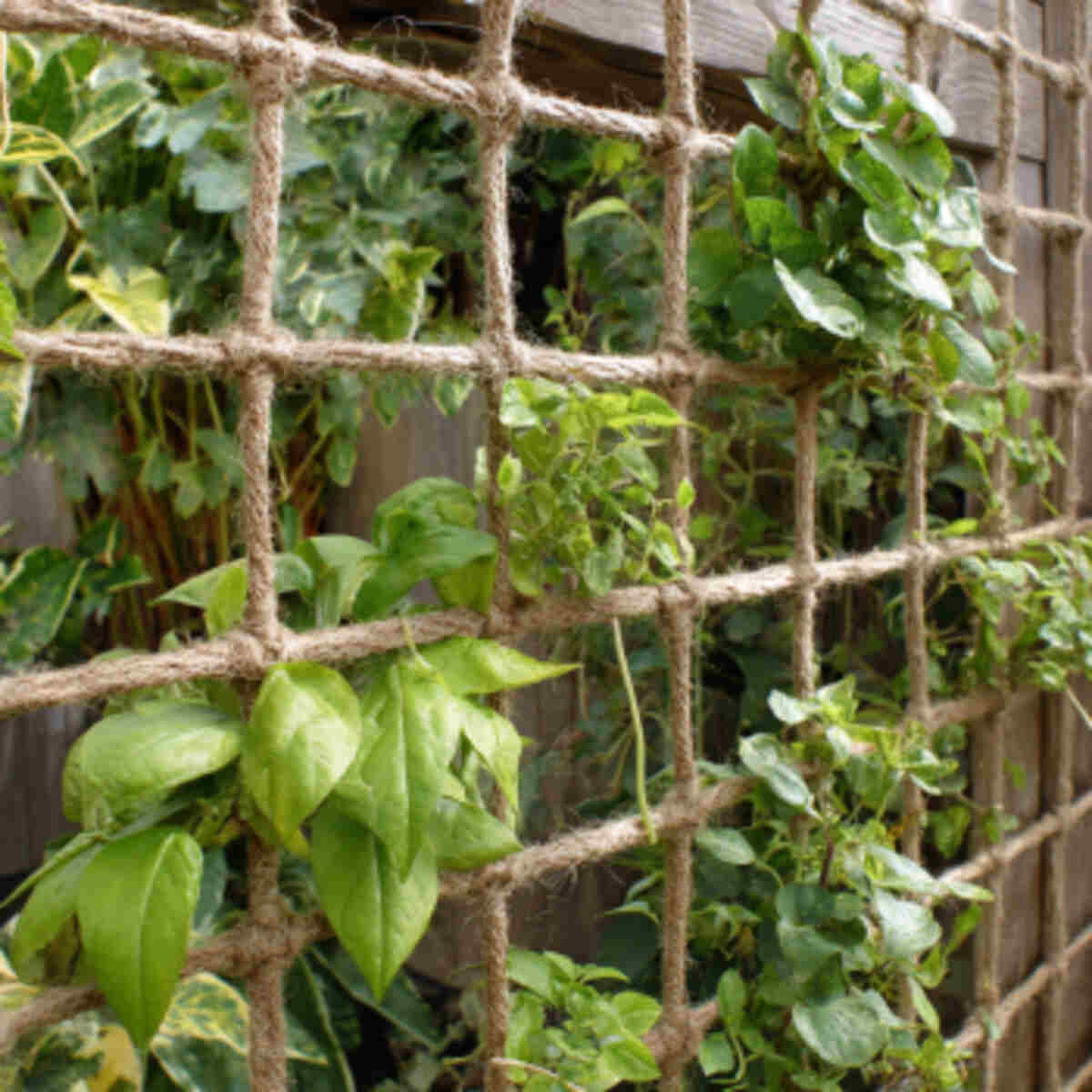 Jute string grids