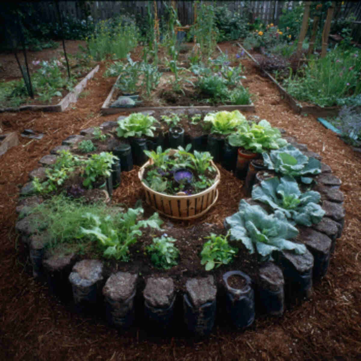 Keyhole Garden with Central Comp