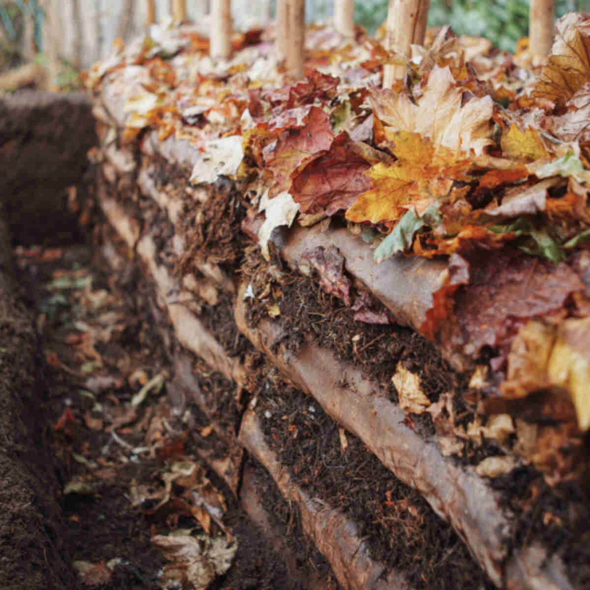 Layered lasagna-style compost pi
