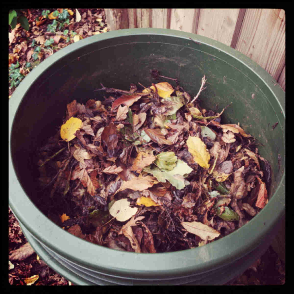 Leaf mold in compost tumbler