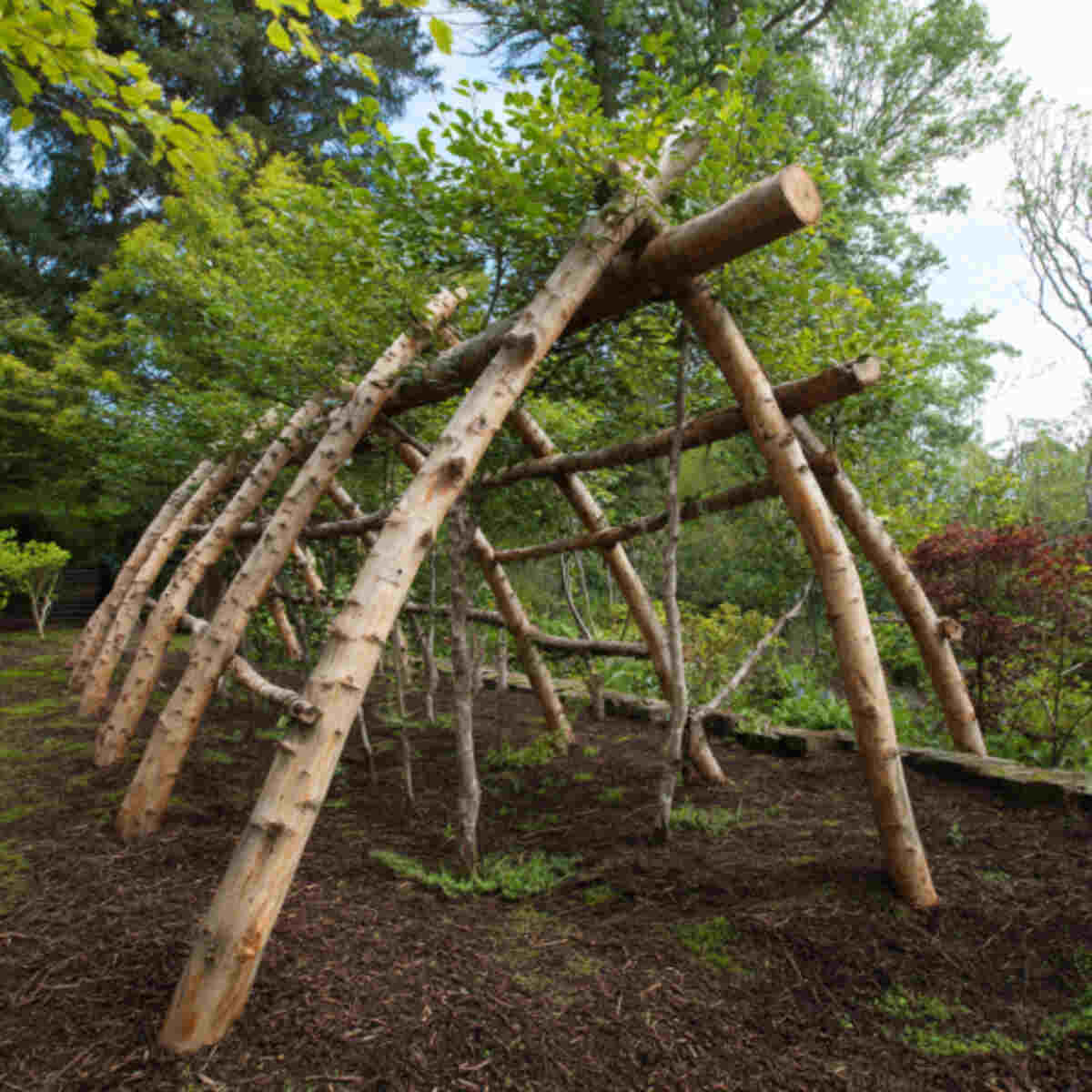 Log tripod structures