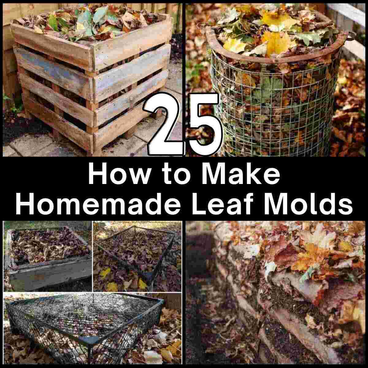 Making Homemade Leaf Mold Garden Ideas