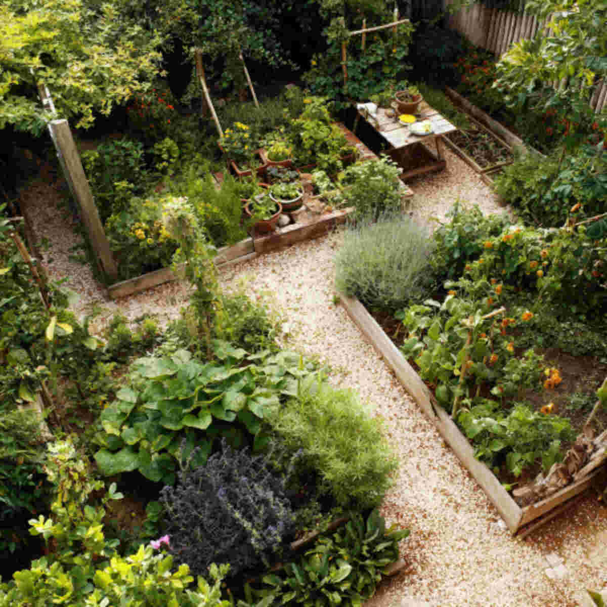 Mediterranean-Themed Food Forest