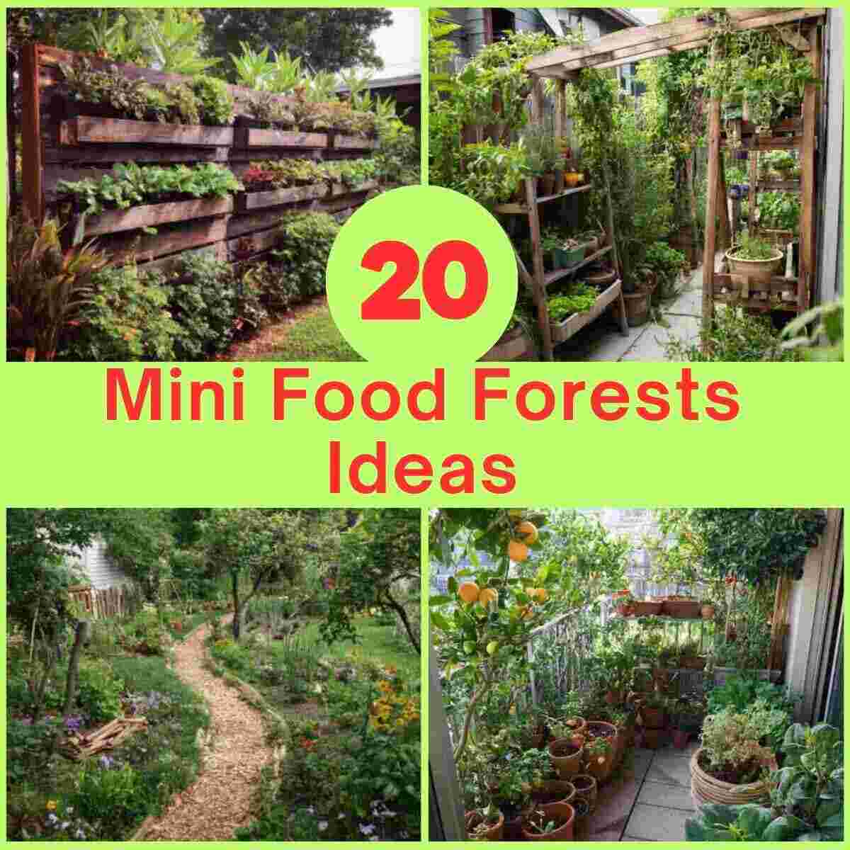 Mini Food Forests