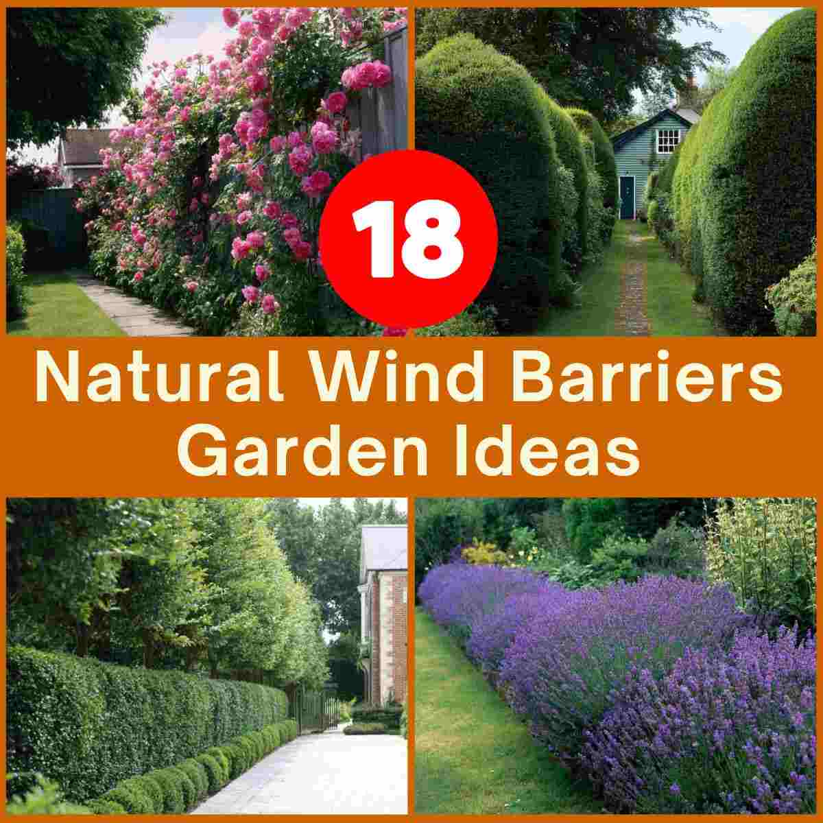 Natural Wind Barriers Ideas