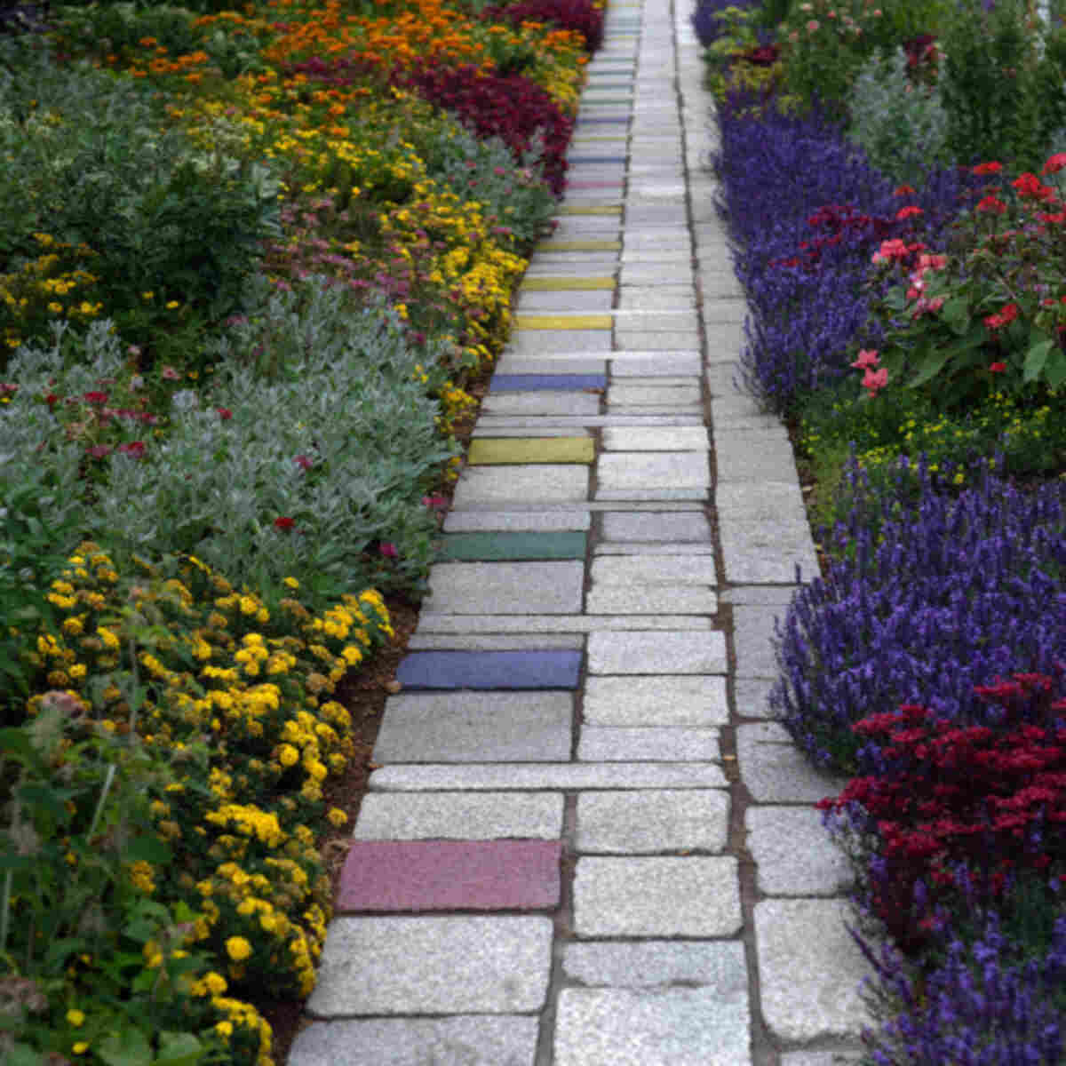 Pathway Edges Lined in Alternating Color Blocks