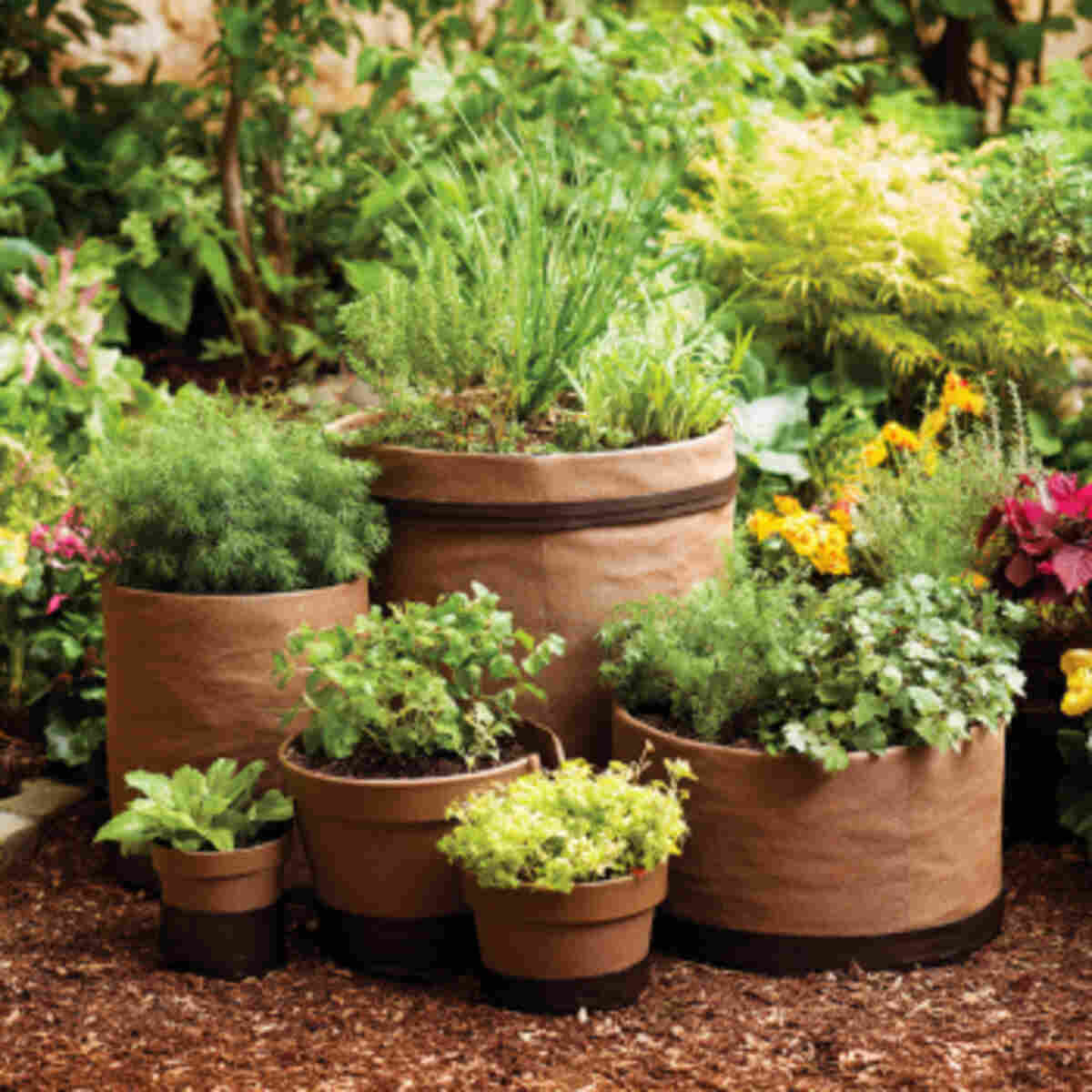 Patio Planters with In-Ground Co