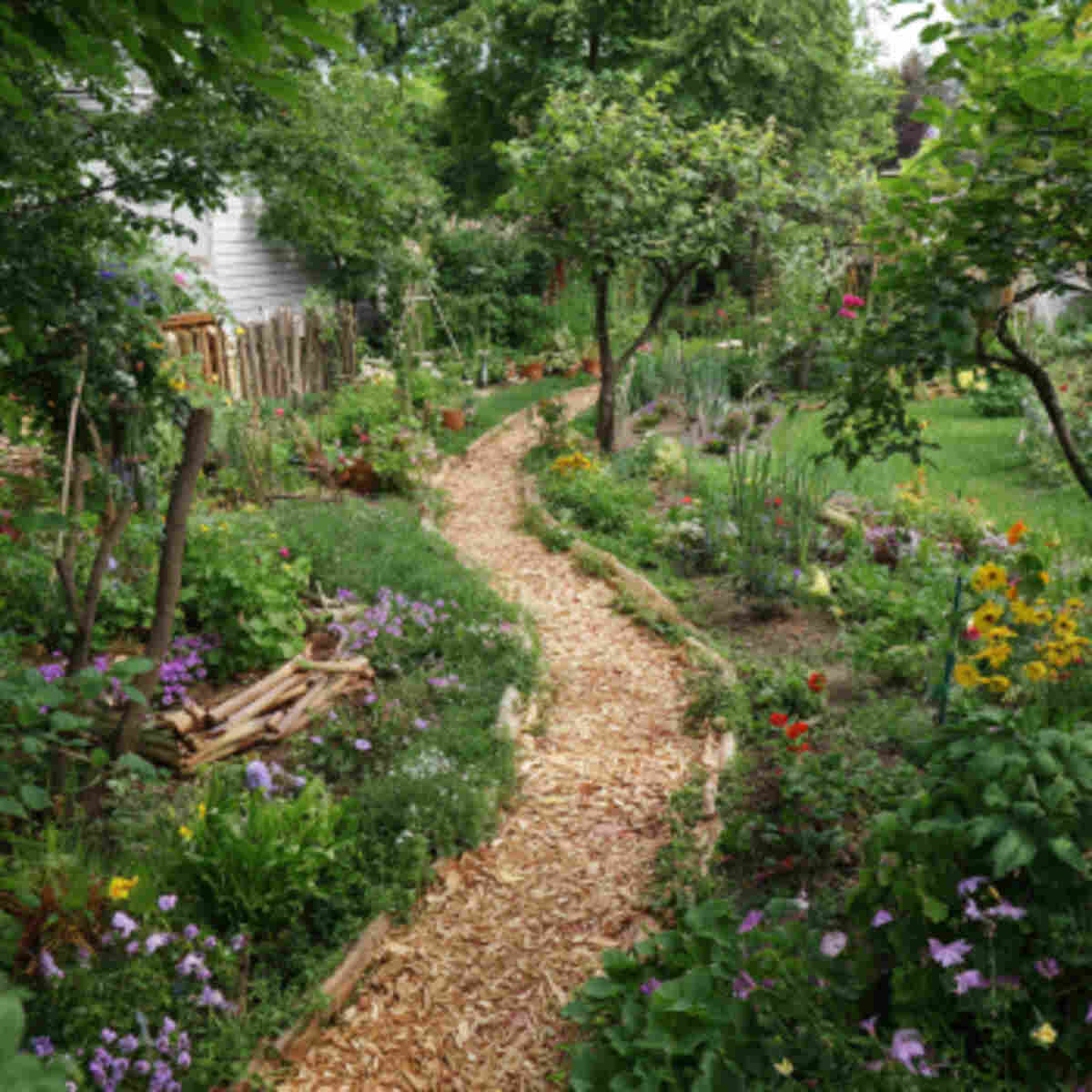 Pollinator-Friendly