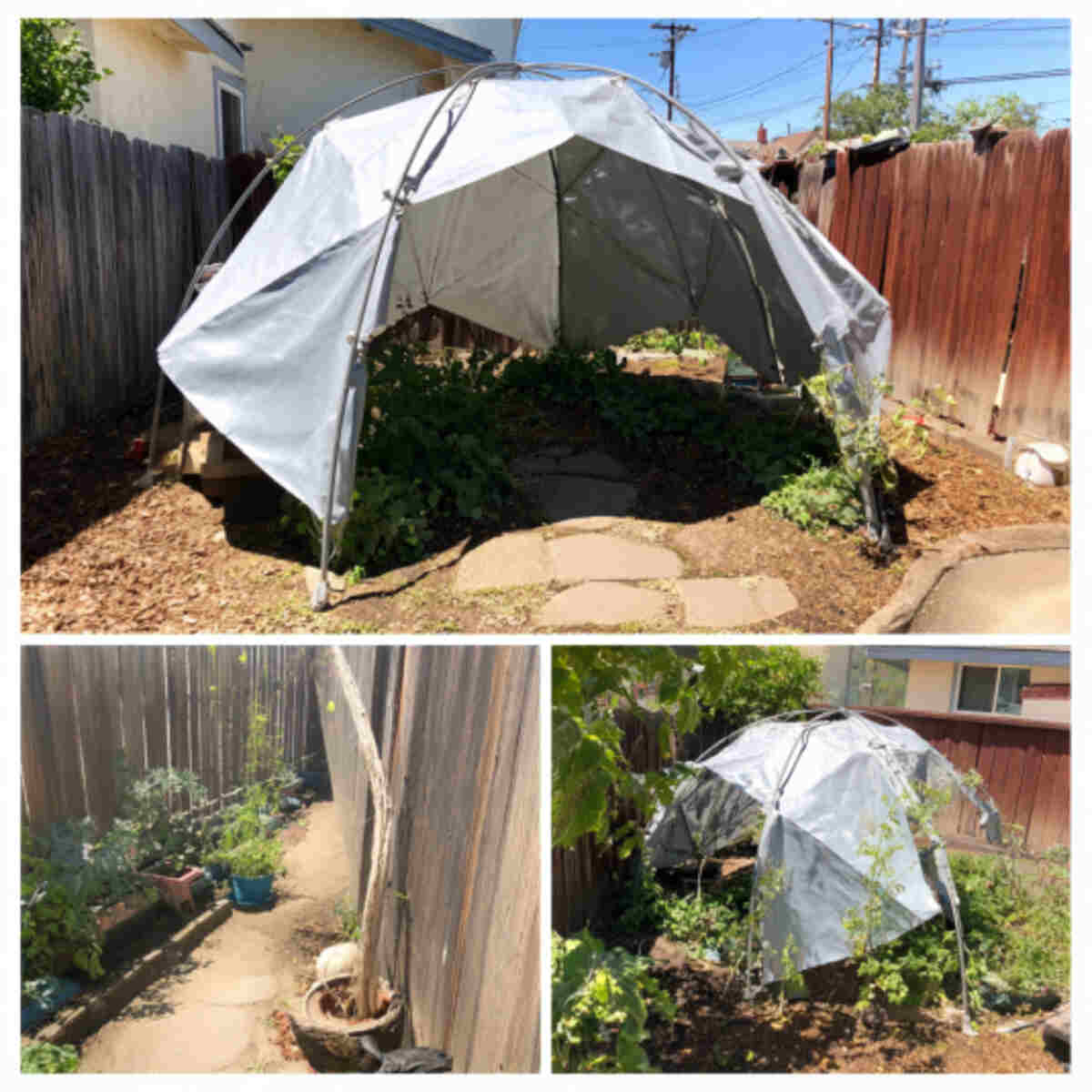 Repurposed Umbrella Pollen Dome