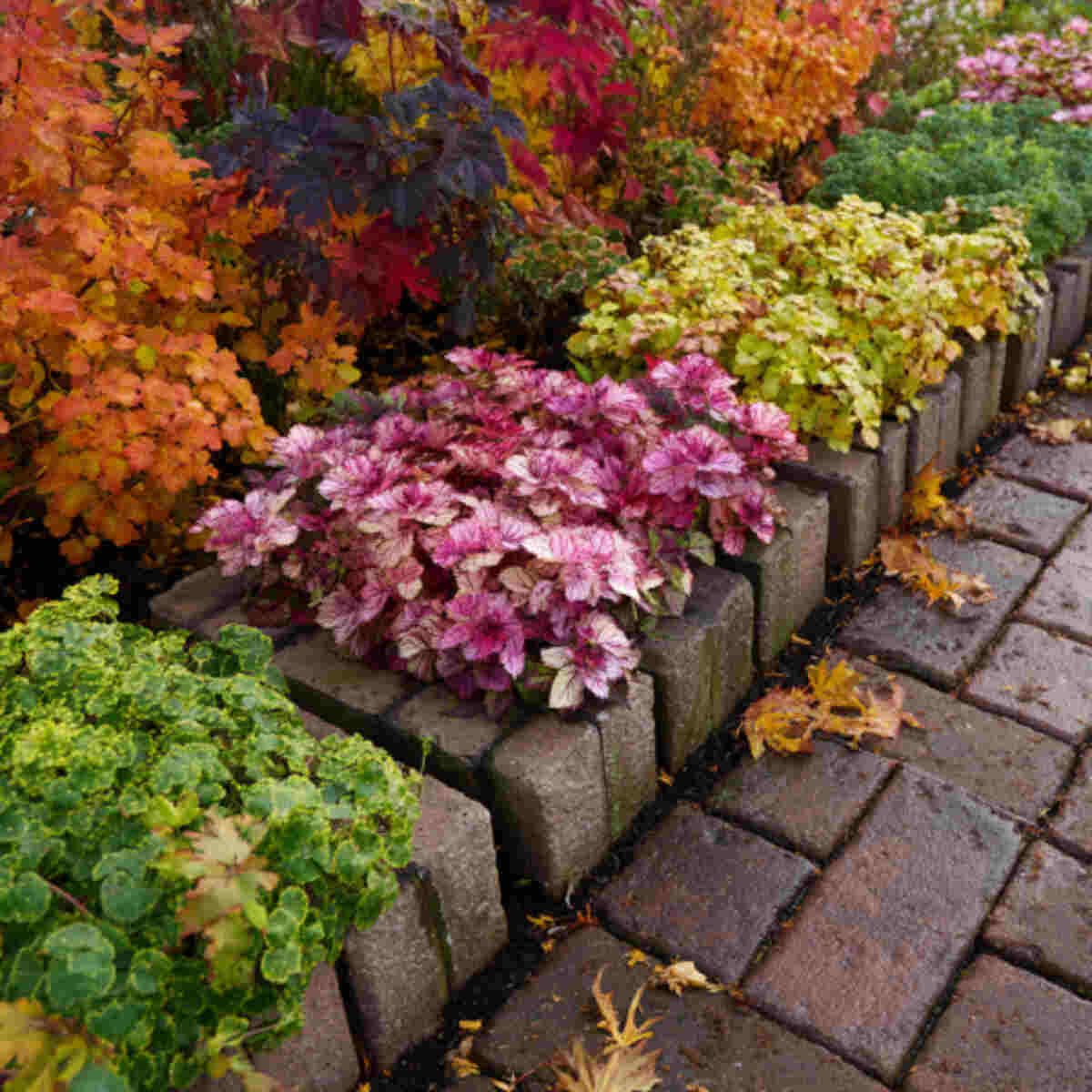 Seasonal Block Rotations for Changing Colors