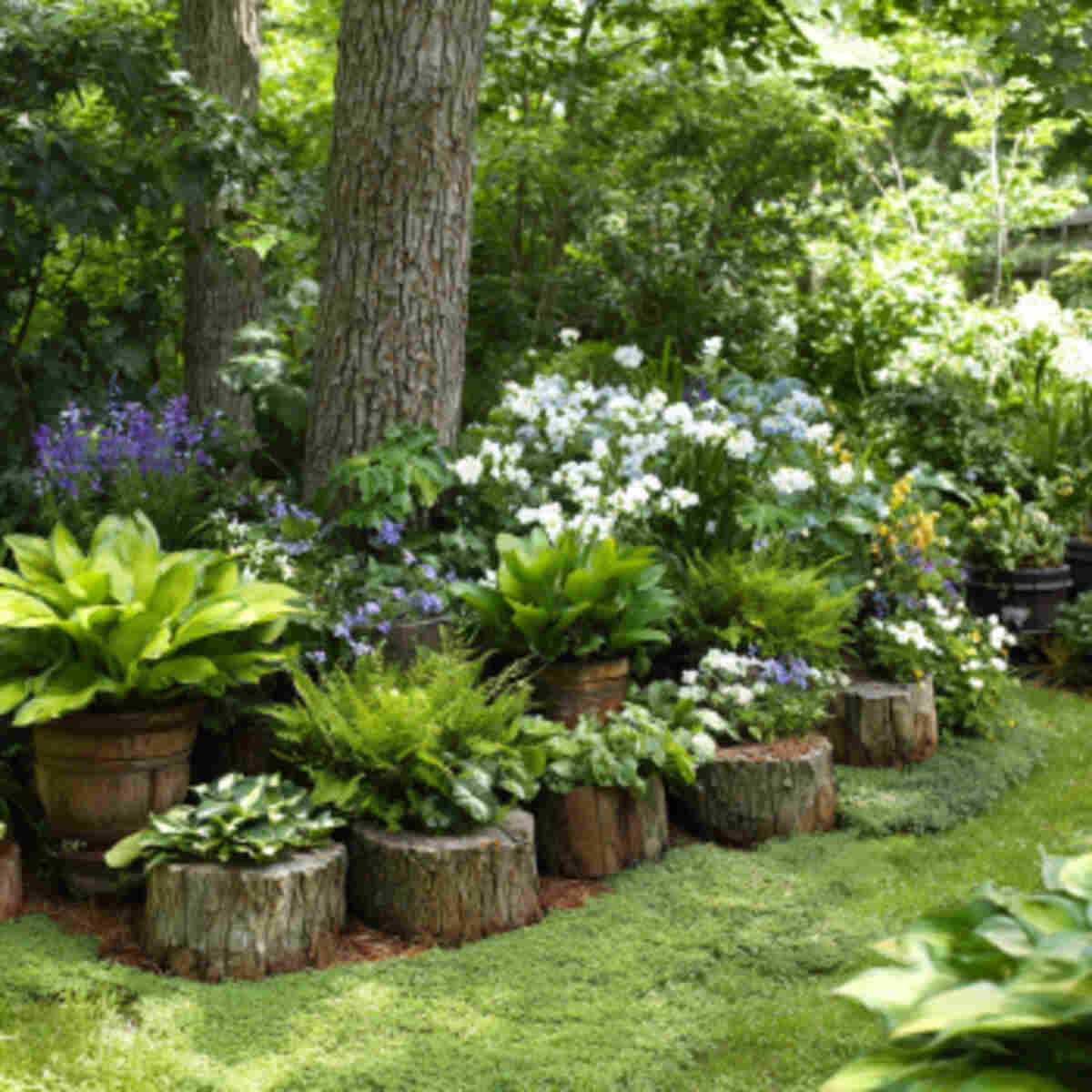 Shade Garden with Composting Stu