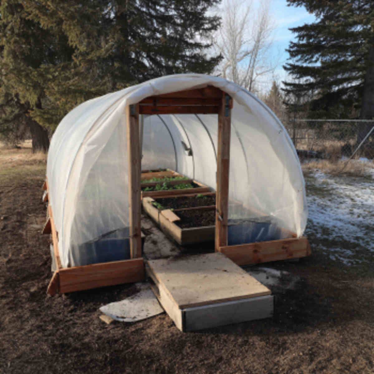 Small Hoop House Pollen Shelter
