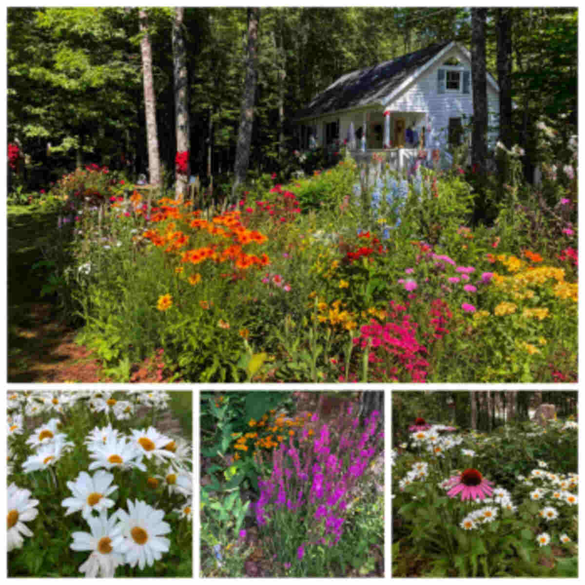 Spring-Fall Cottage Garden
