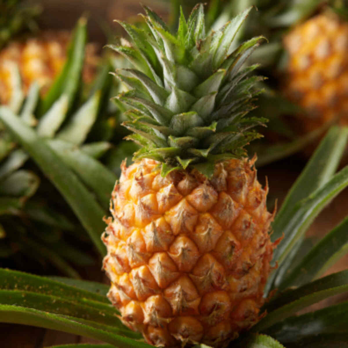 Start a pineapple top