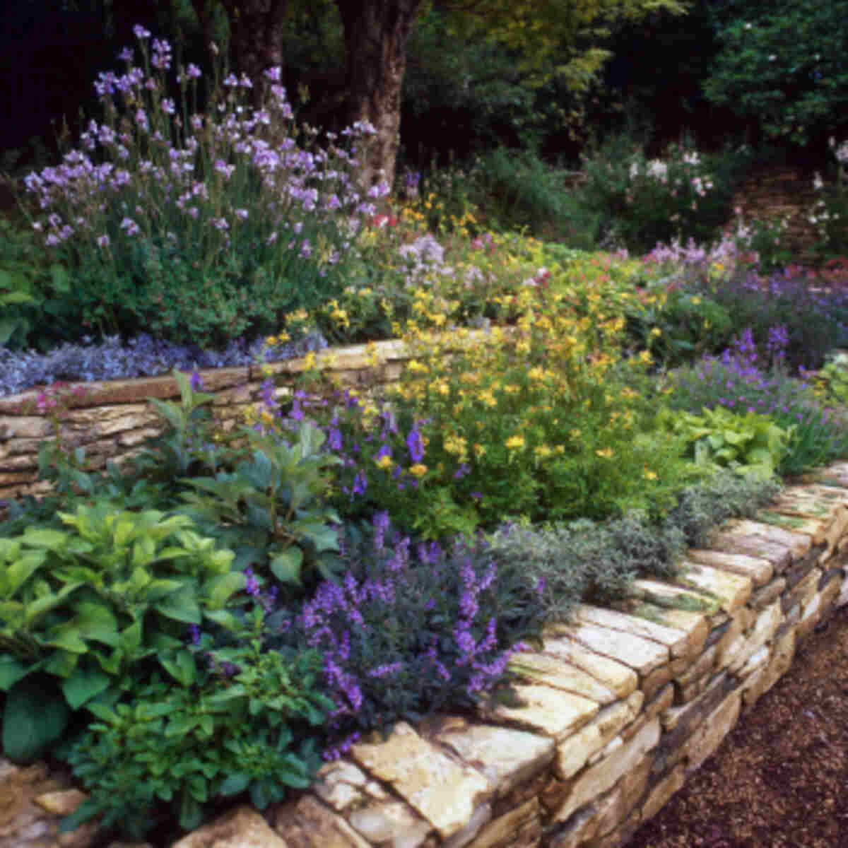 Stone-bordered native plant gard