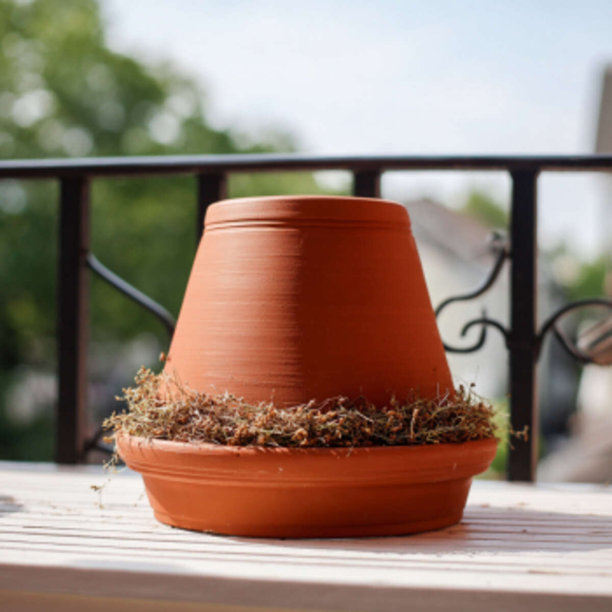 Terracotta Pot Pollen Cover