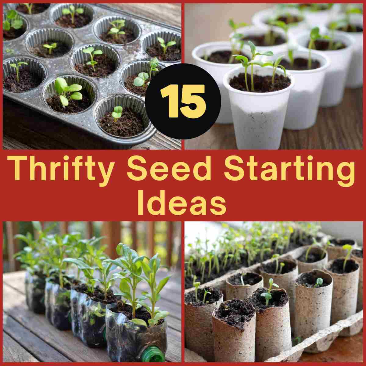 Thrifty Seed Starting Ideas