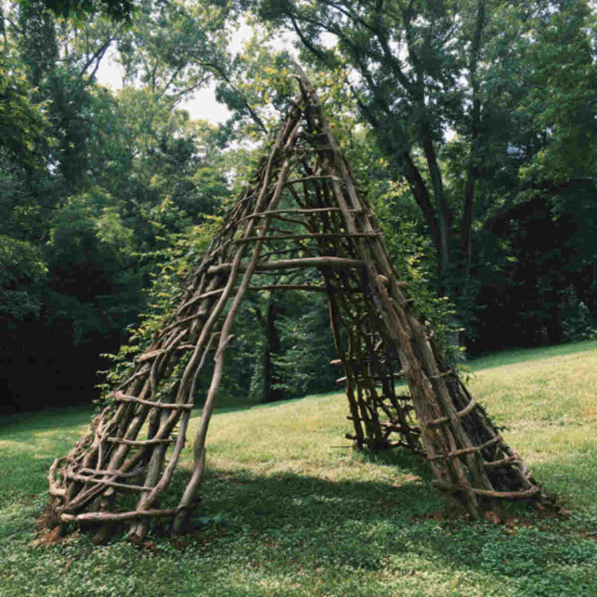 Tree branch A-frames